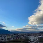 Filotimo Alfa
